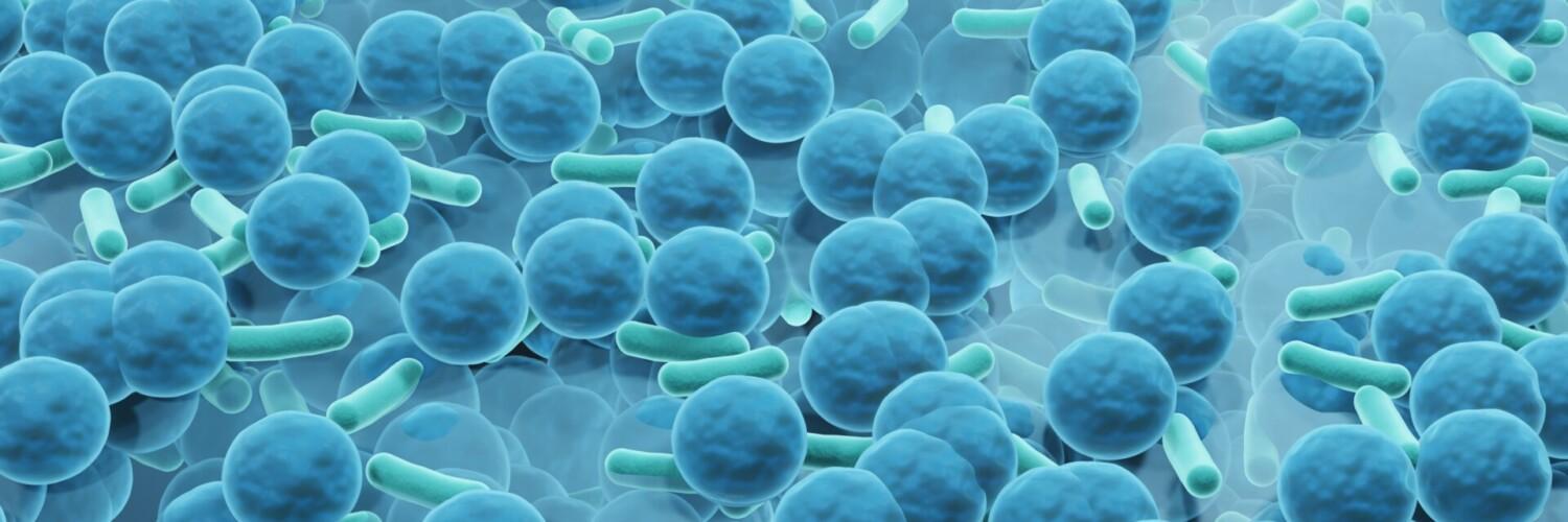 3D-illustration av bakteriekoloni som bildar biofilm.
